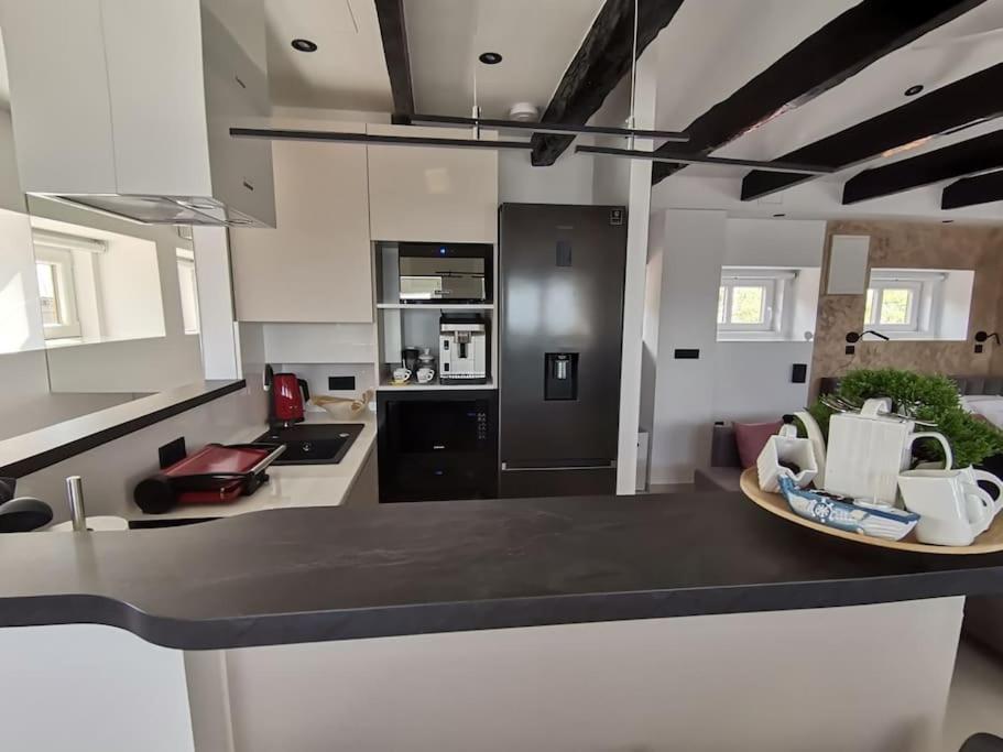 Studio Apartman Lenox 里耶卡 外观 照片